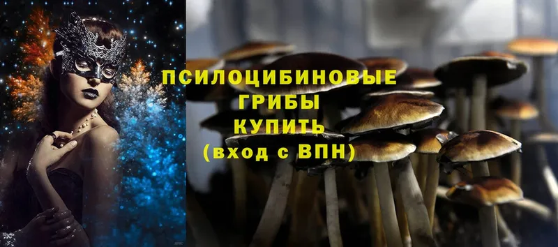 Галлюциногенные грибы MAGIC MUSHROOMS  Велиж 